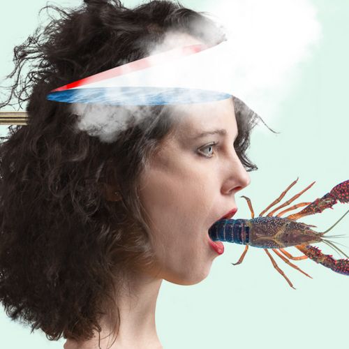 La Tarma “Usignolo Meccanico” (LullaBit, 2019)