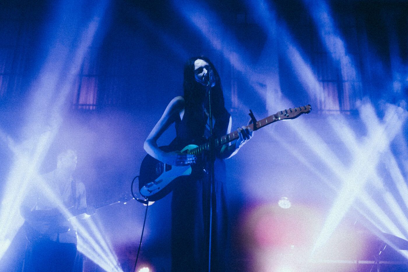 BOtanique 2024