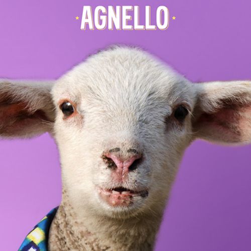 Agnello “Il Minotauro” (Garrincha Dischi, 2019)