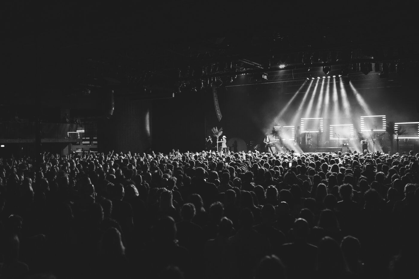13032024 LP alcatraz milano asiaserpe6 9b69f211