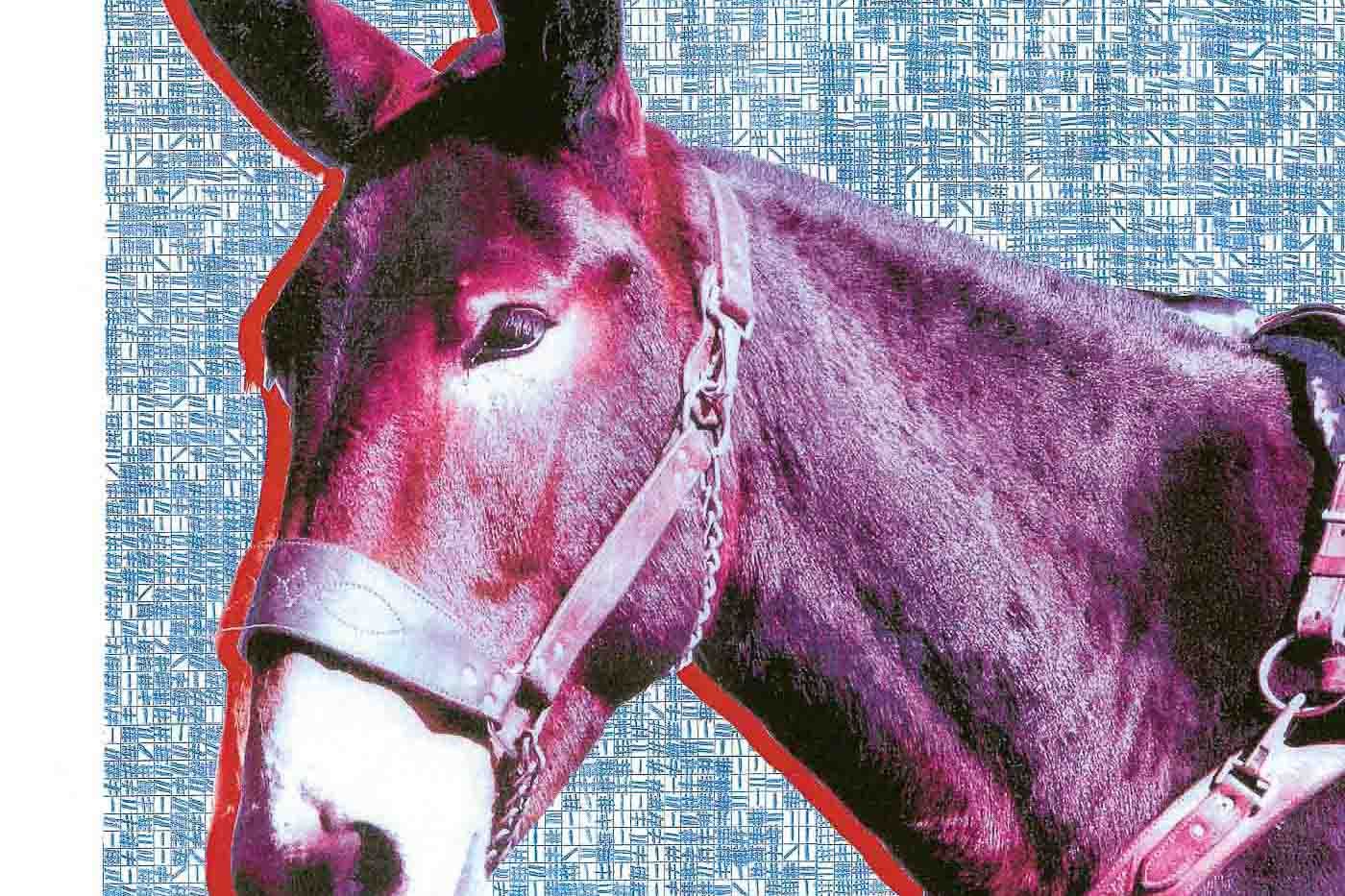 Protomartyr “Ultimate Success Today” (Domino Records, 2020)