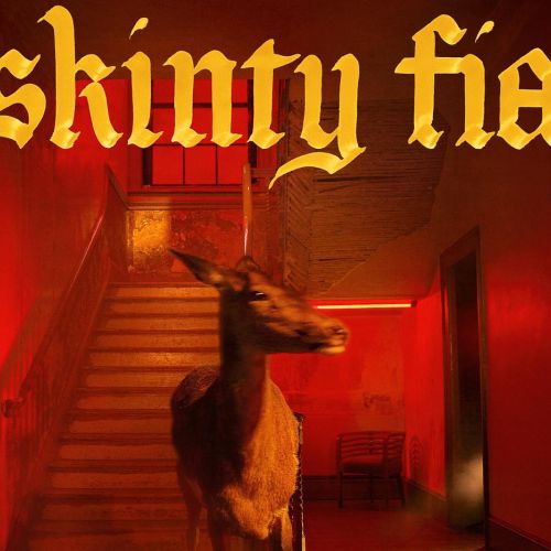 Fontaines D.C. “Skinty Fia” (Partisan Records, 2022)