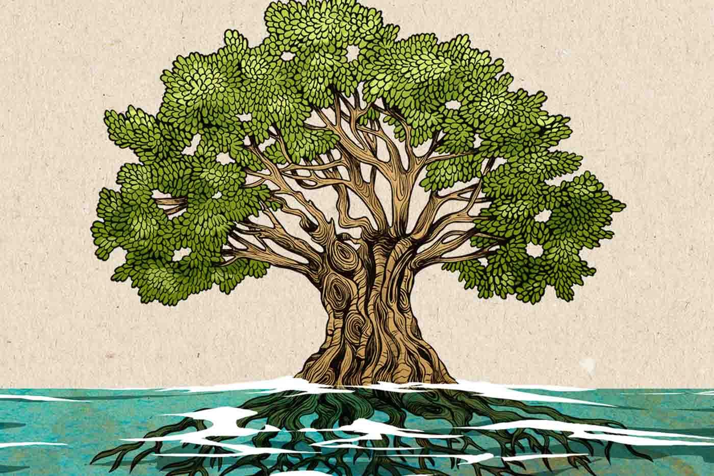 The Bustermoon “Mareena Roots” (Self Released, 2020)